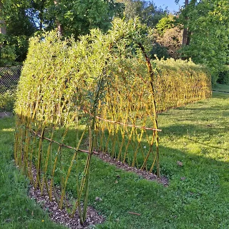 Originell - Emotionell Casa de hóspedes Ouffet